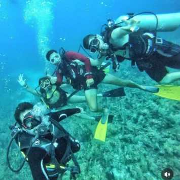 c0317eb2-d42b-4041-8021-40a6d2052031