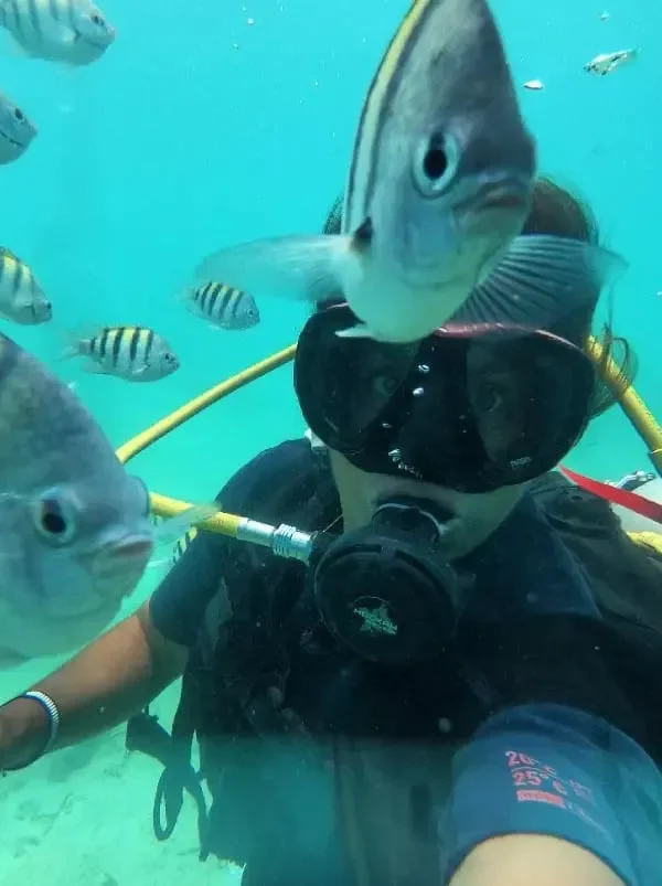 d4efcd4a-1851-462a-ae8f-20b0ce1e7c79